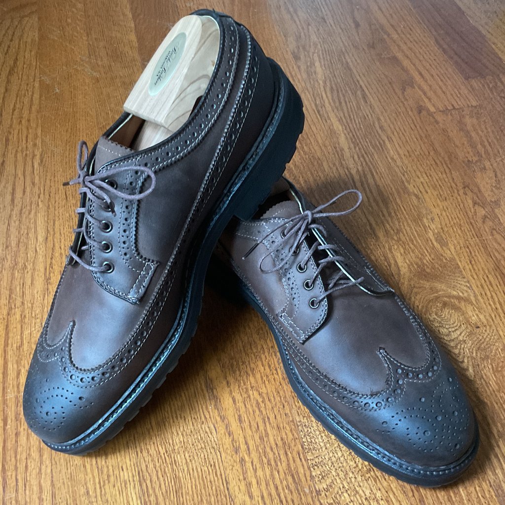 Nwot Alden Men's Size 8.5d Medallion Wingtip Oxfords